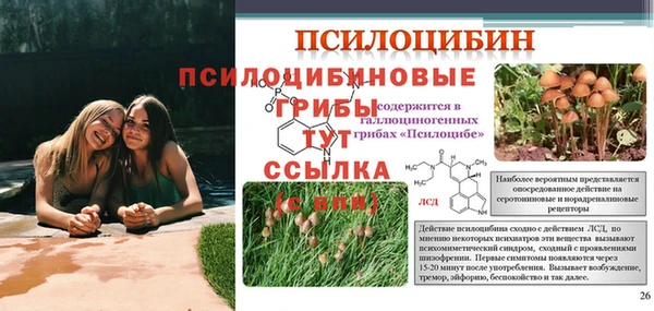 mix Покачи