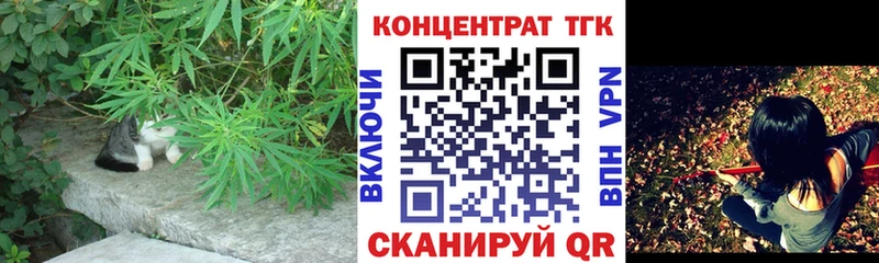 OMG ссылка  Заволжье  ТГК THC oil  купить наркоту 