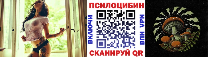 Псилоцибиновые грибы MAGIC MUSHROOMS хочу blacksprut tor Заволжье